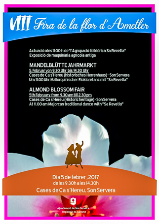 son-alegre-ametllers-5