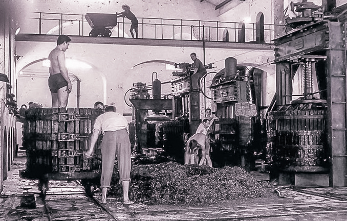 Es Sindicat Felanitx 4