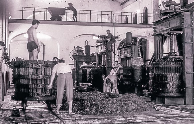 Es Sindicat Felanitx 4