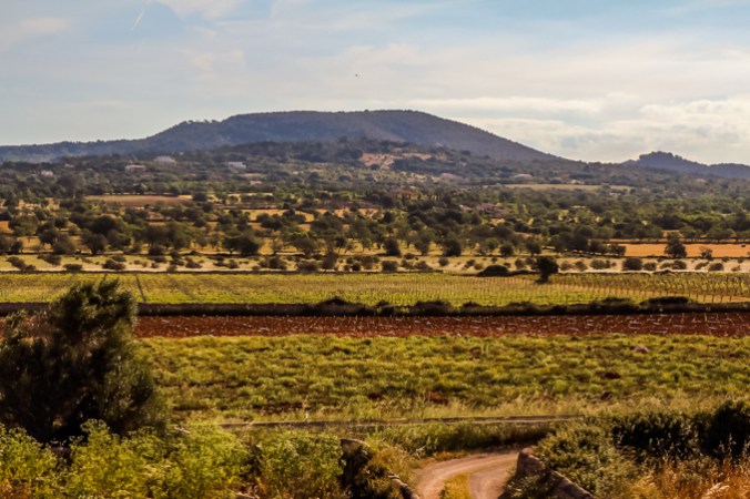 Son Alegre granizada2