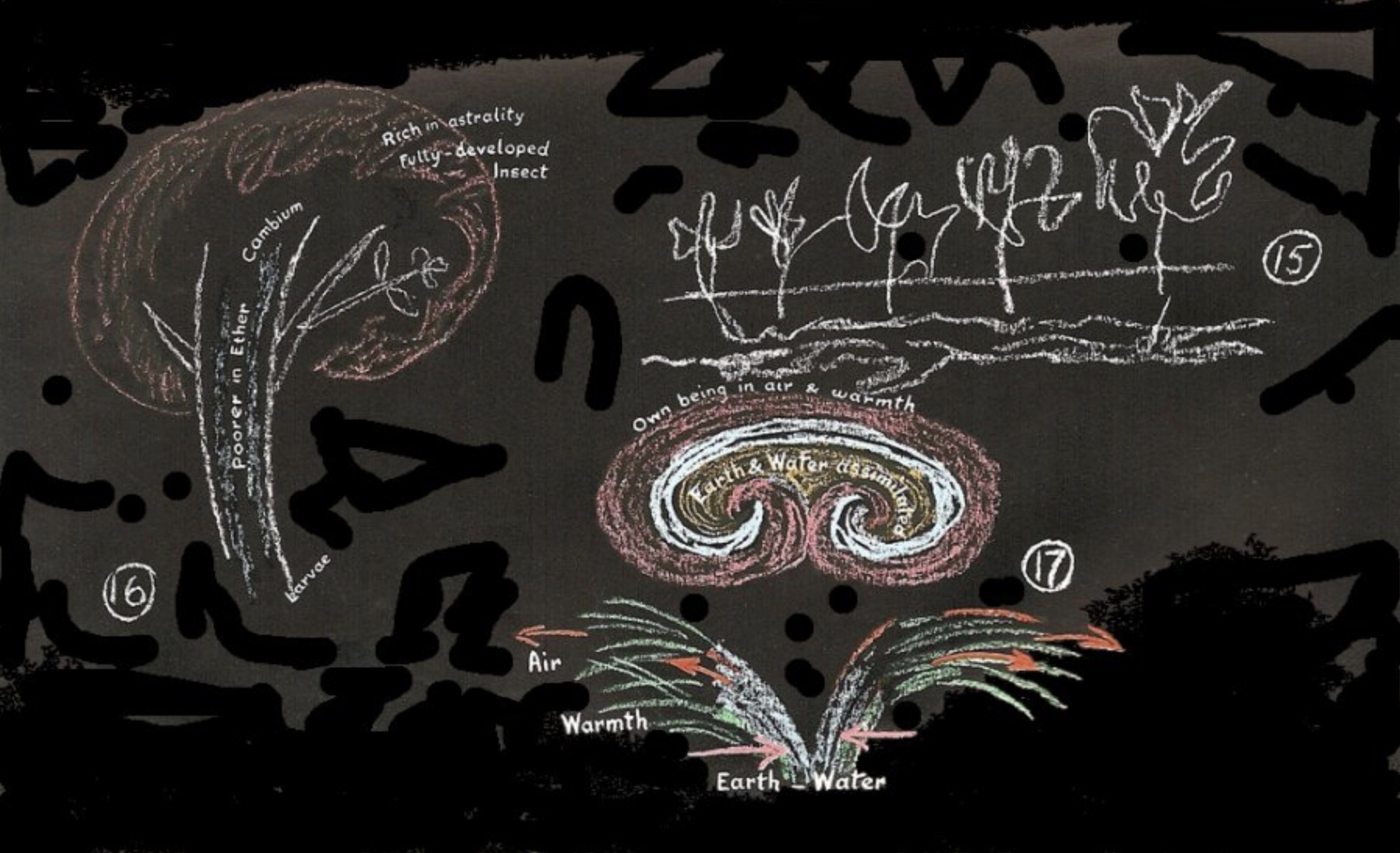 R Steiner_agriculture_07