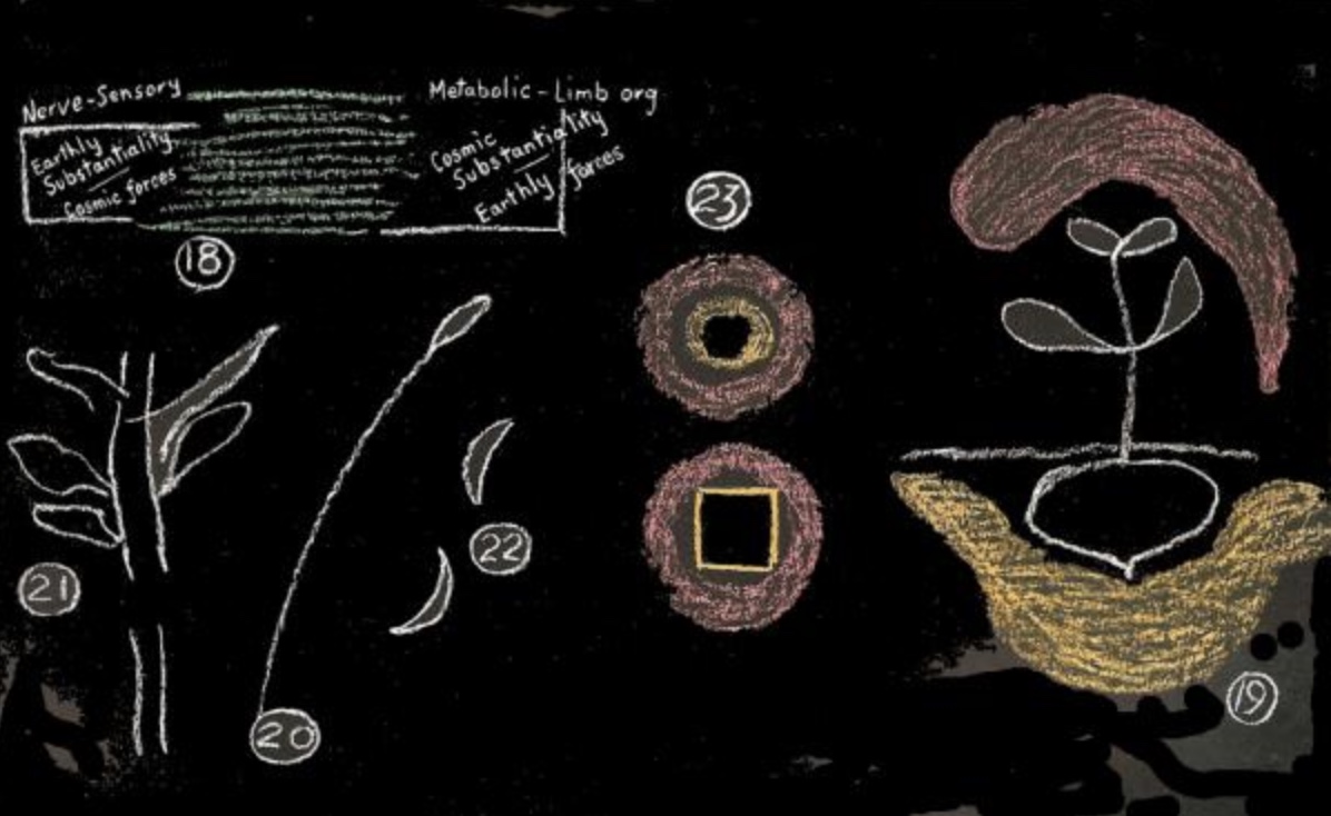 R Steiner_Agriculture_08